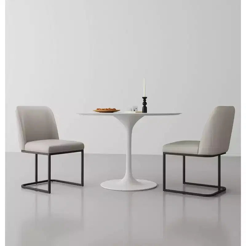 Deux chaises de salle à manger