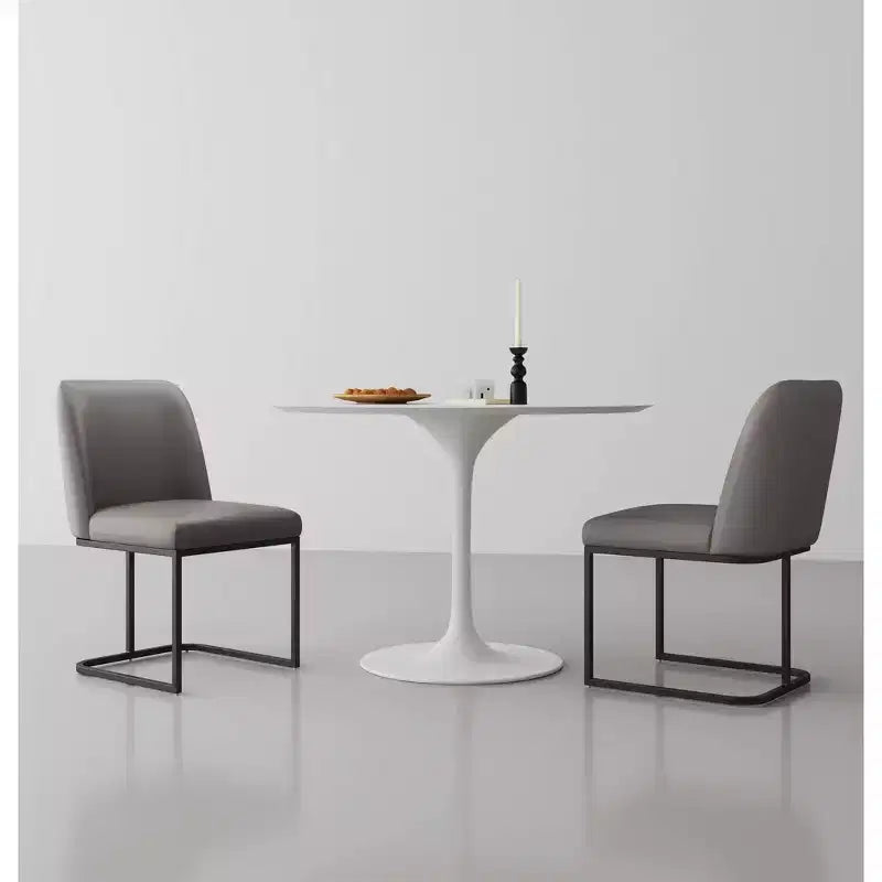 Deux chaises de salle à manger