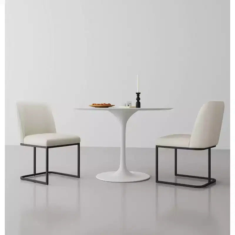 Deux chaises de salle à manger